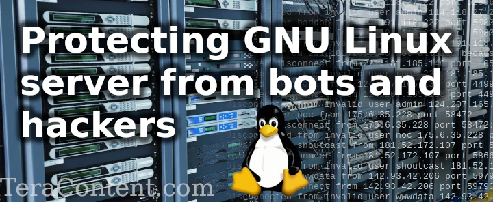 Protecting GNU Linux server from bots and hackers